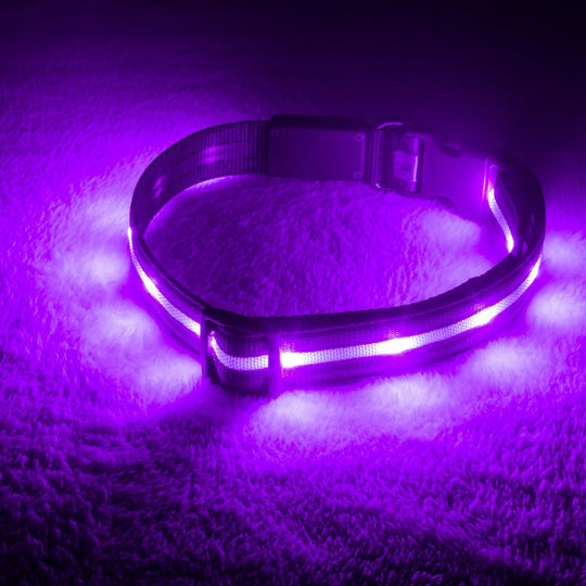 Brightest Light up Dog Collars - the Original LED Dog Collar with 1,000 Feet of Visibility - USB Rechargeable Waterproof Dog Collar Light - Dog Lights for Night Walking - USA Brand