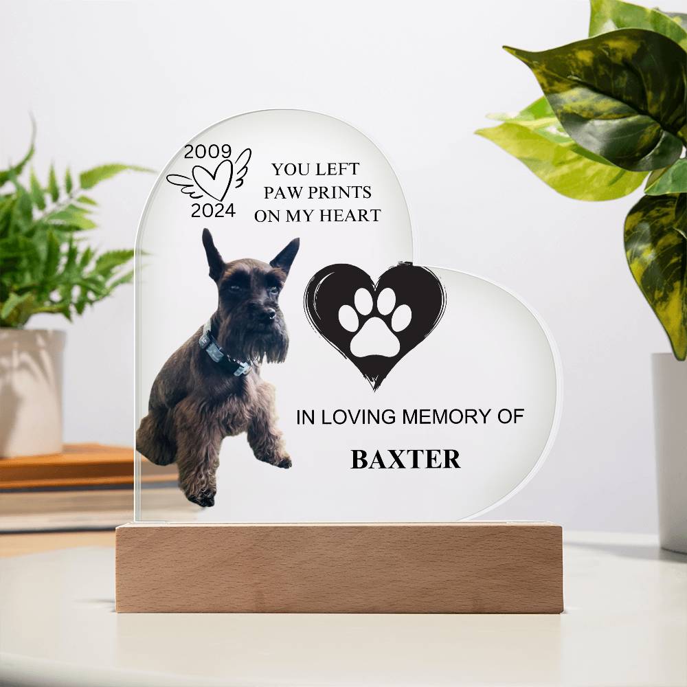 You Left Paw Prints On My Heart  - Acrylic Heart Plaque