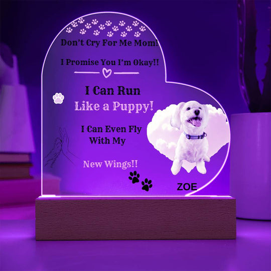 I Promise You I'm Okay - Acrylic Heart Plaque