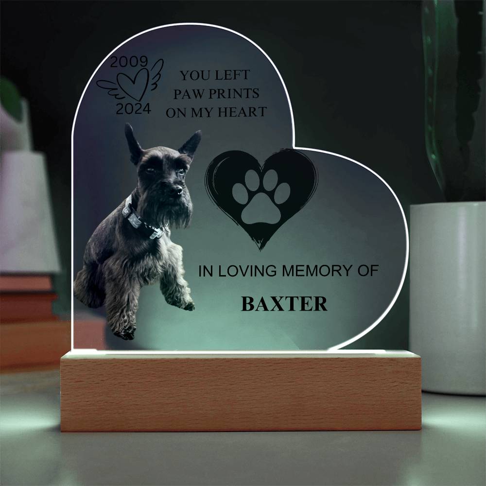 You Left Paw Prints On My Heart  - Acrylic Heart Plaque